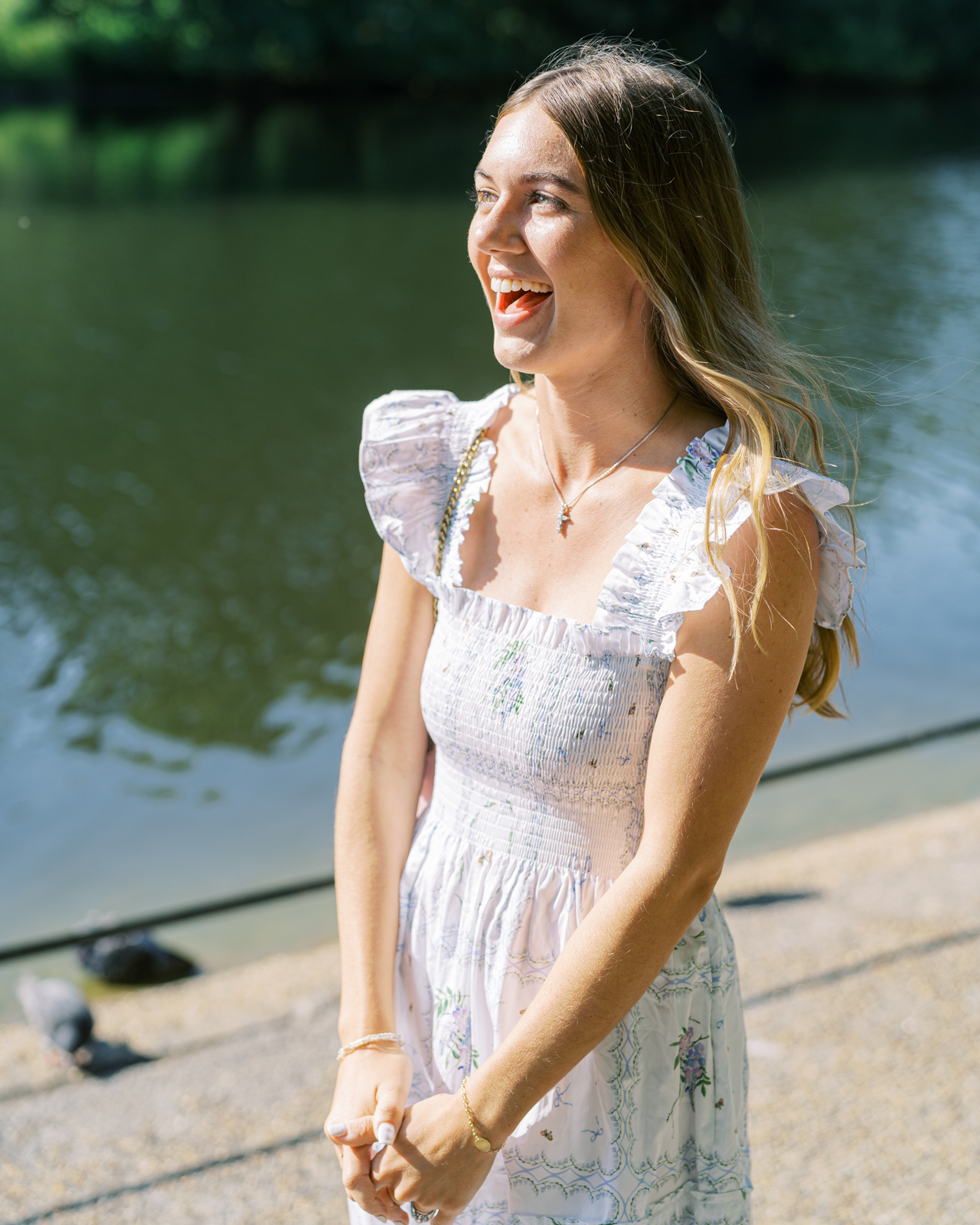 Surprise London proposal in St James's Park