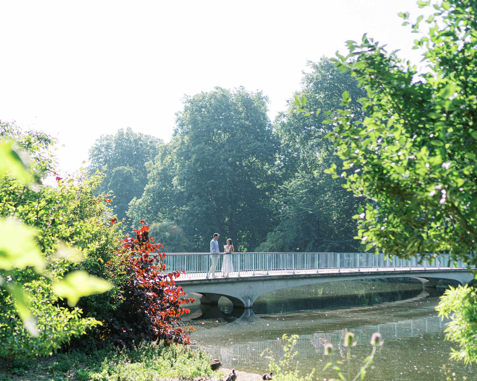 Engagement photographs in London's St James's Park