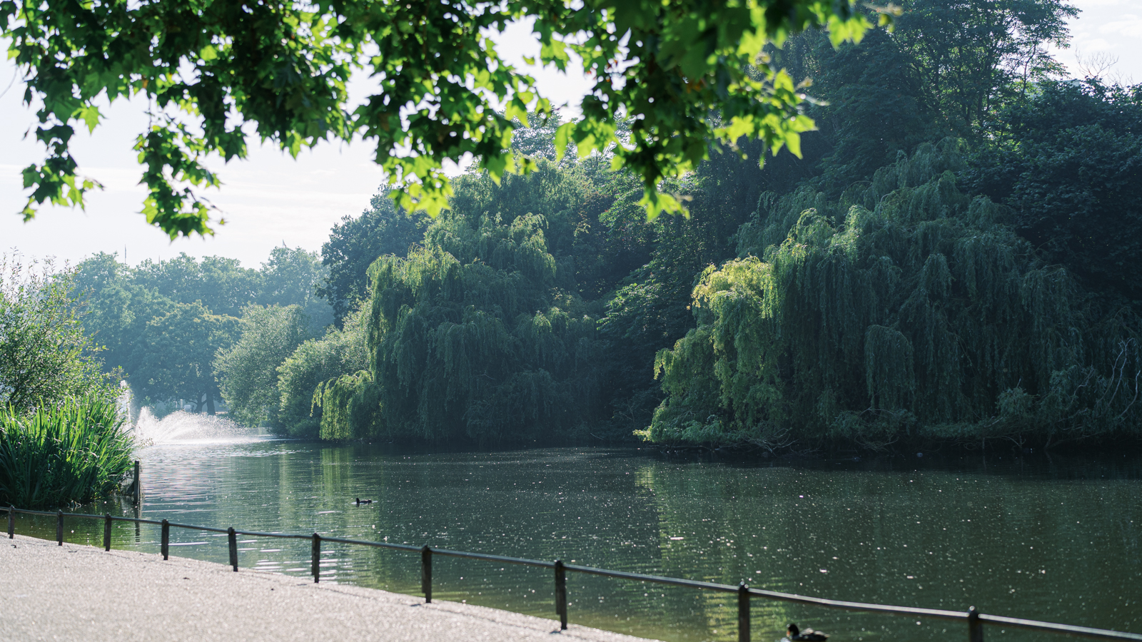 Surprise London proposal in St James's Park