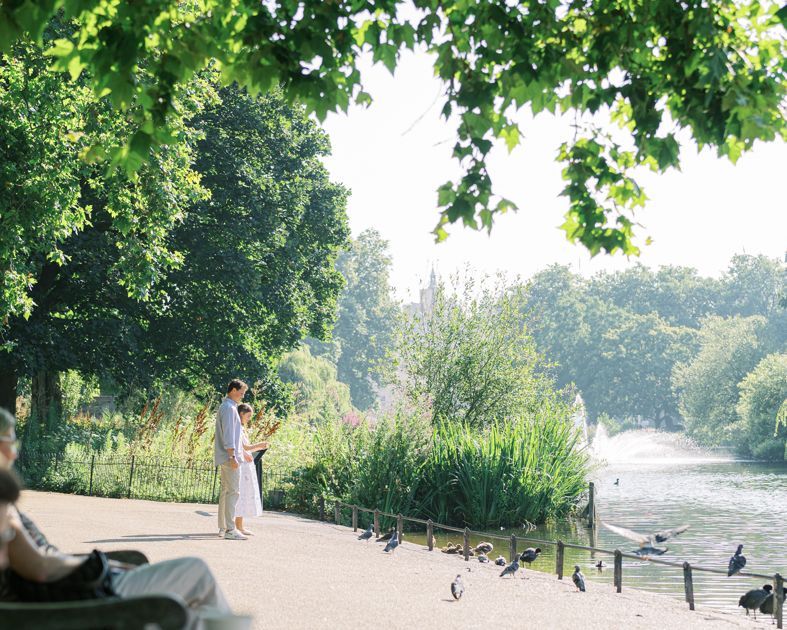 Surprise London proposal in St James's Park