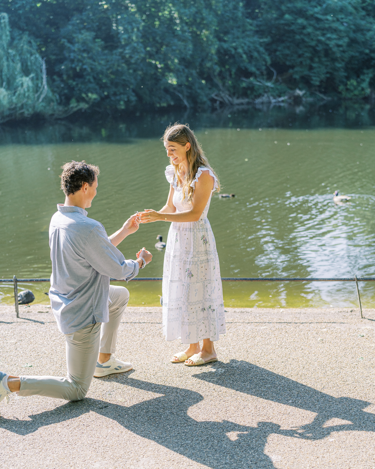 Surprise London proposal in St James's Park